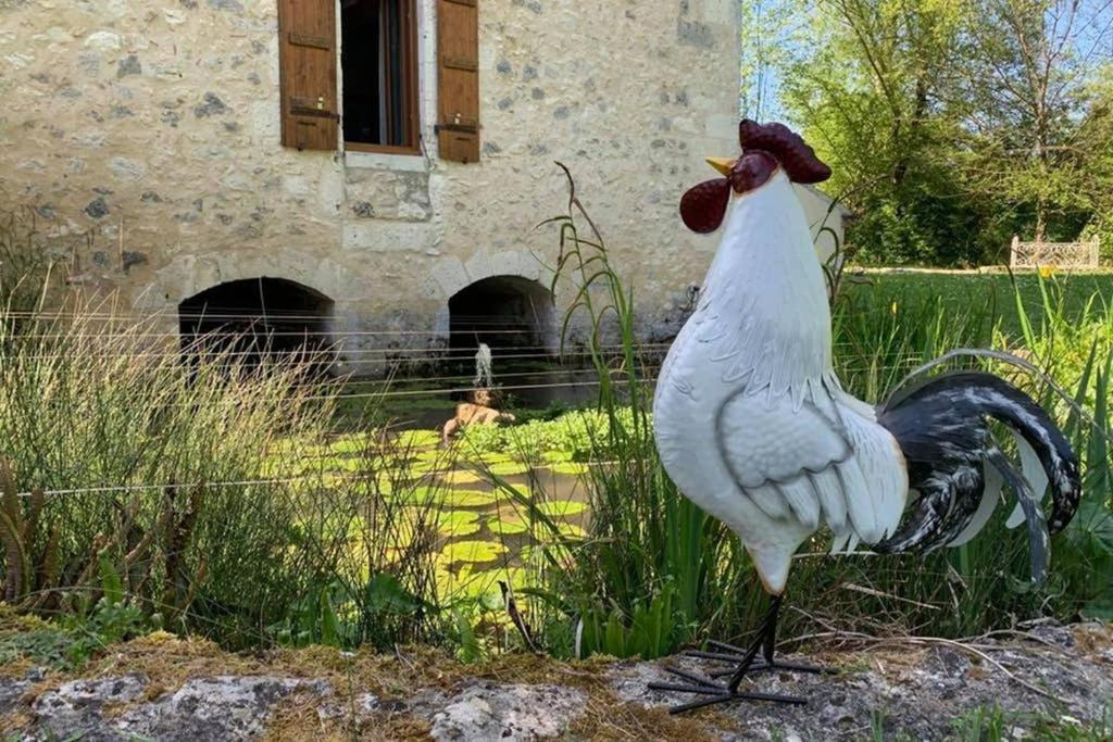 Gite Moulin De Lausseignan 巴巴斯特 外观 照片